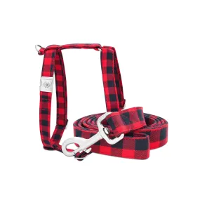 Buffalo Leash & Harness Set