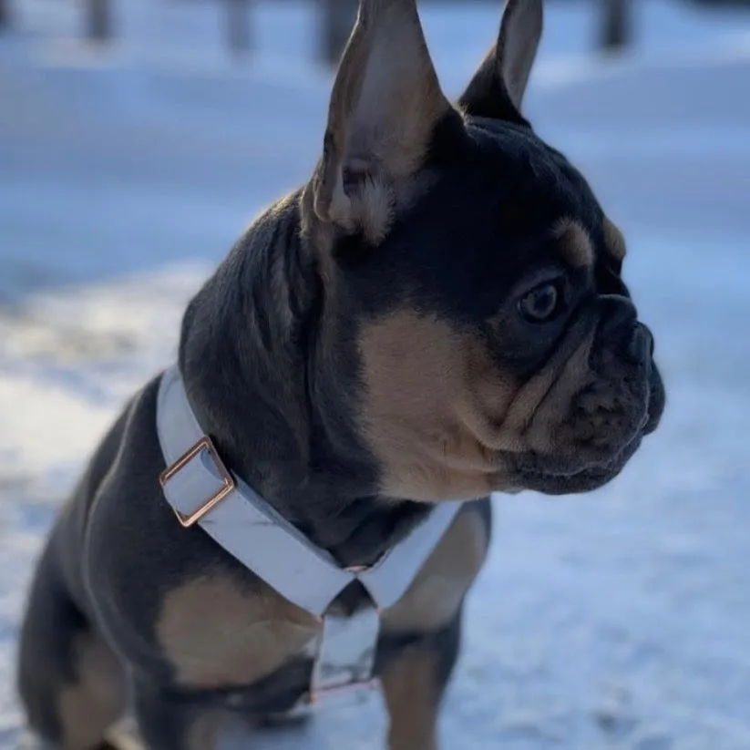 Marble Rose Gold Harness