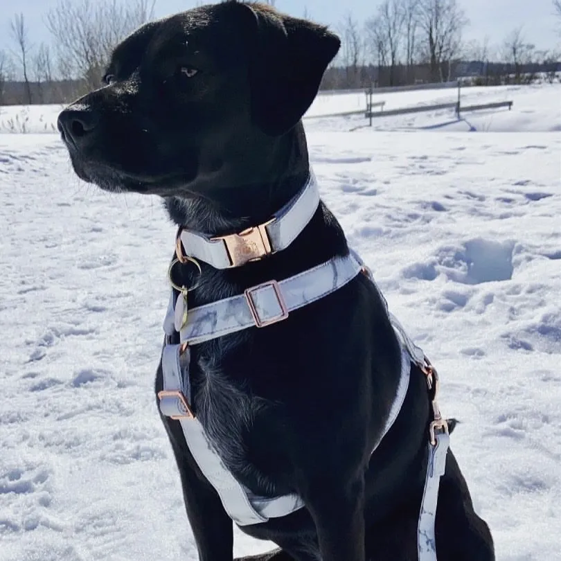 Marble Rose Gold Harness