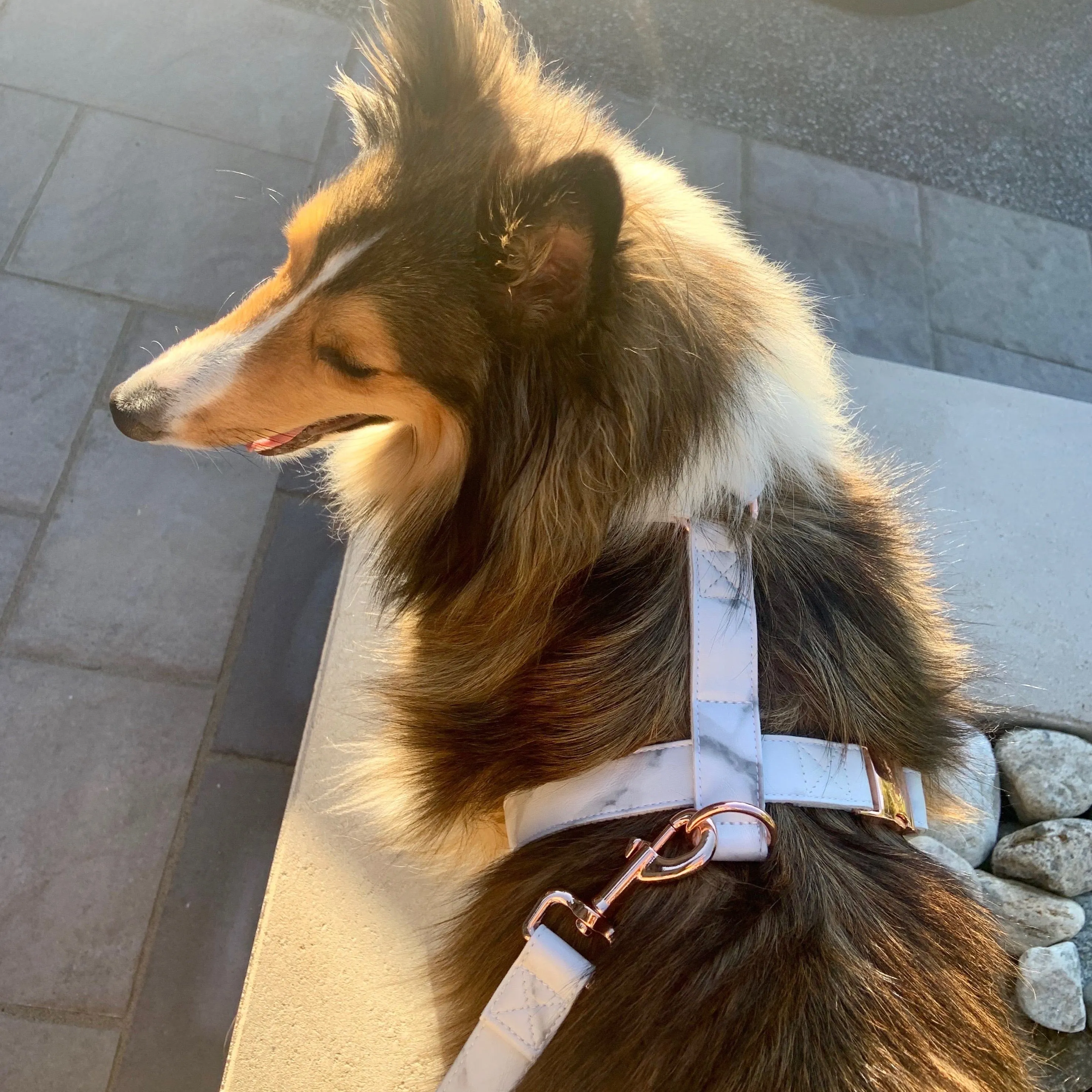 Marble Rose Gold Harness