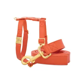 Pumpkin Leash & Harness Set