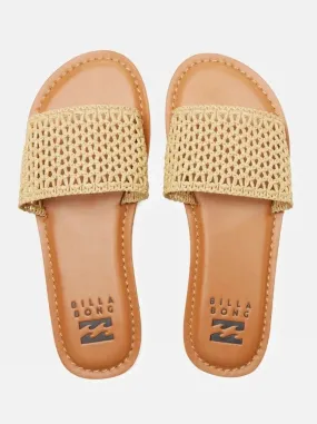 Shayne Sandal