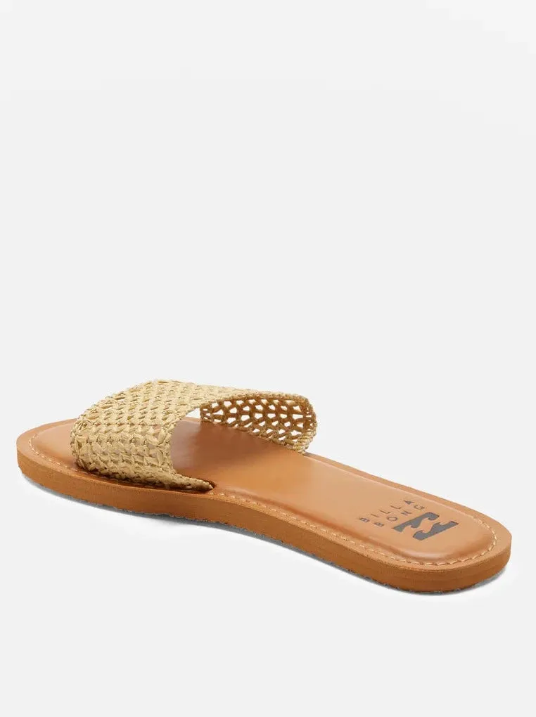 Shayne Sandal