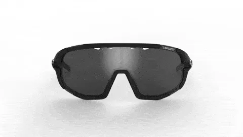 Tifosi Sledge Sunglasses